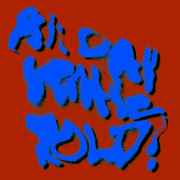 Porches - All day gentle hold! (LP) - Discords.nl