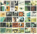 Pearl Jam - No Code (CD Tweedehands)