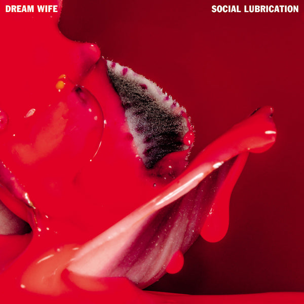 Dream Wife - Social lubrication (CD) - Discords.nl