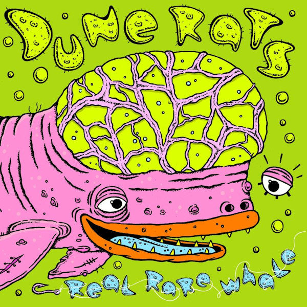 Dune Rats - Real rare whale (LP) - Discords.nl