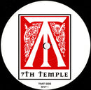 Warrior , The - Intensity (12" Tweedehands) - Discords.nl