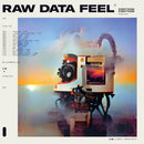 Everything Everything - Raw Data Feel  (LP) - Discords.nl