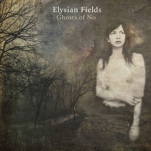Elysian Fields - Ghost of no (LP) - Discords.nl