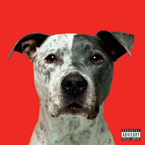 Hanni El Khatib - Flight (LP) - Discords.nl