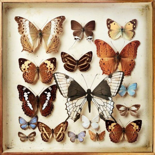 Emiliana Torrini - Rarities (CD) - Discords.nl