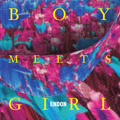 Endon - Boy meets girl (CD) - Discords.nl