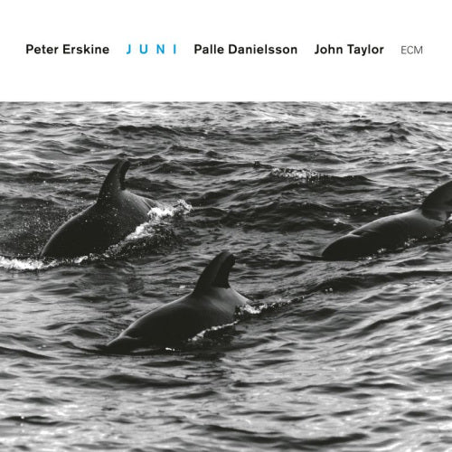 Peter Erskine -trio- - Juni (CD) - Discords.nl