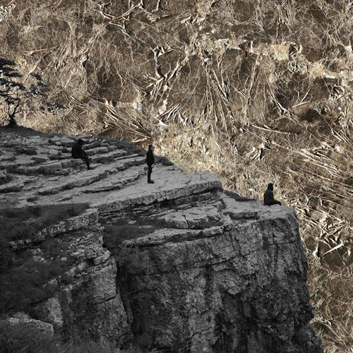 Esben And The Witch - Nowhere (CD) - Discords.nl