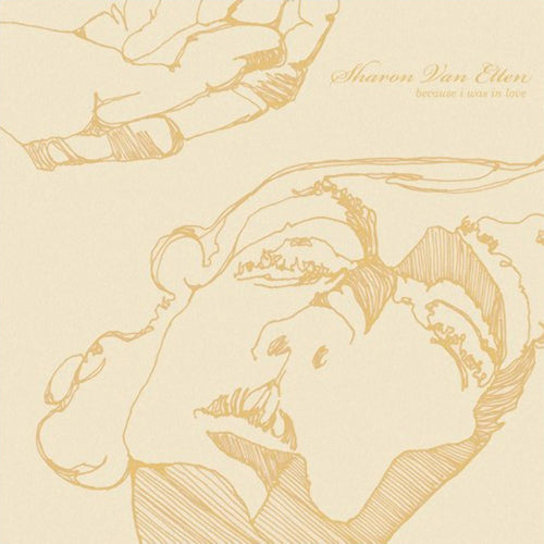 Sharon Van Etten - Because i was in love (LP) - Discords.nl