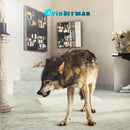 Grinderman - Grinderman 2 (LP) - Discords.nl