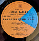 James Taylor (2) - Dad Loves His Work (LP Tweedehands) - Discords.nl