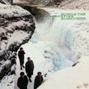 Echo And The Bunnymen - Porcupine (CD)