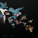 Eefje De Visser - De koek (LP) - Discords.nl