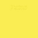 Einsturzende Neubauten - Rampen (apm: alien pop music) (LP) - Discords.nl