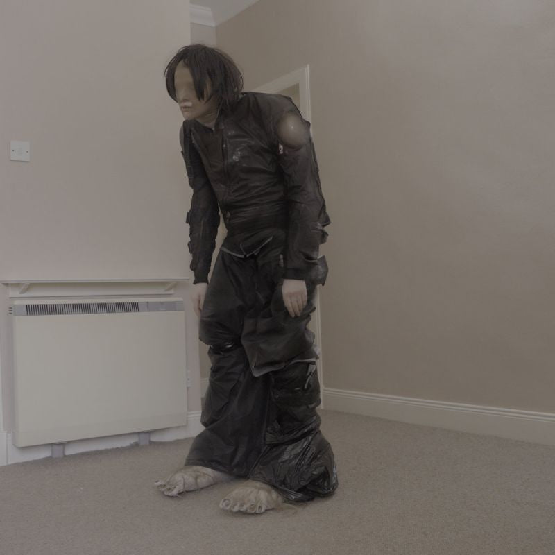 El Perro Del Mar - Big anonymous (LP) - Discords.nl