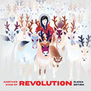 Elena Setien - Another kind of revolution (LP) - Discords.nl