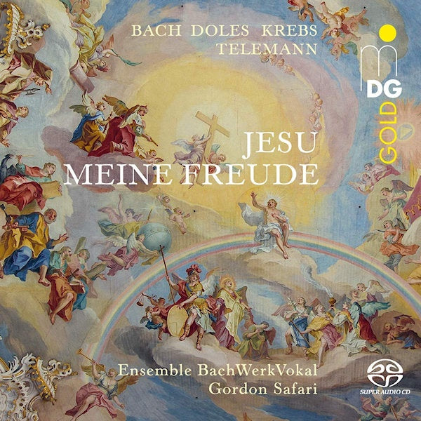 Ensemble Bachwerkvokal - Jesu meine freunde (CD) - Discords.nl