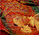 Various - Spirits Of Nature 2 (CD) - Discords.nl