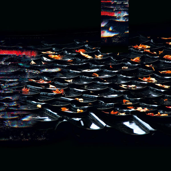 Eraldo Bernocchi & Hoshiko Yamane - Sabi (LP) - Discords.nl