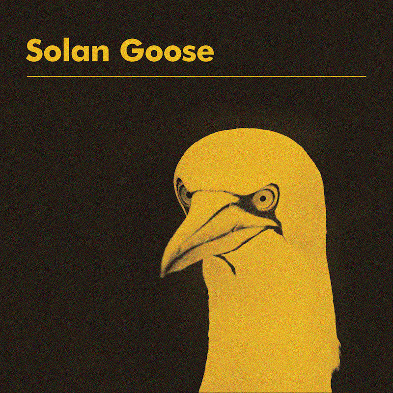 Erland Cooper - Solan goose (LP) - Discords.nl