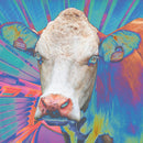 Eyes Of Others - Eyes of others (LP) - Discords.nl