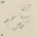 Eyvind Kang - Riparian (LP) - Discords.nl