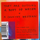 They Are Gutting A Body Of Water / A Country Western - An Insult To The Sport (LP) - Discords.nl