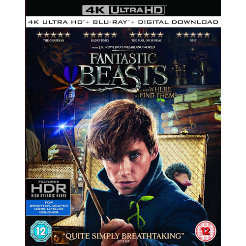 Movie - Fantastic beasts and where to find them (DVD / Blu-Ray)