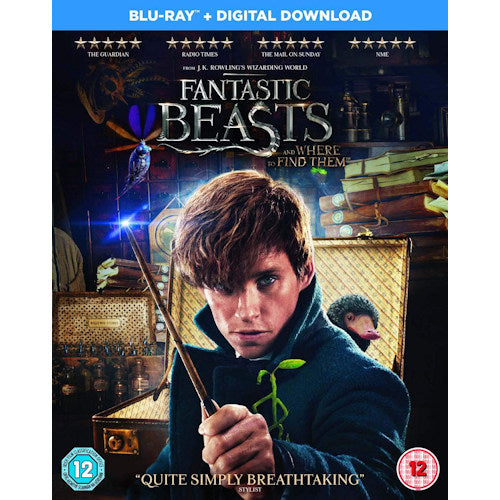 Movie - Fantastic beasts and where to find them (DVD / Blu-Ray)