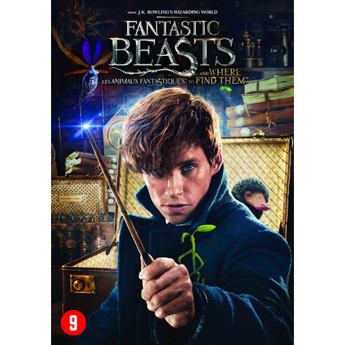 Movie - Fantastic beasts and where to find them (DVD Music) - Discords.nl