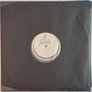 Alcest - Spiritual Instinct (LP) - Discords.nl