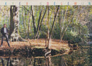 Peter Koelewijn - Diep Water (LP Tweedehands)