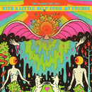 Flaming Lips - With a little help from my fwends (CD) - Discords.nl