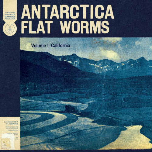 Flat Worms - Antarctica (LP) - Discords.nl