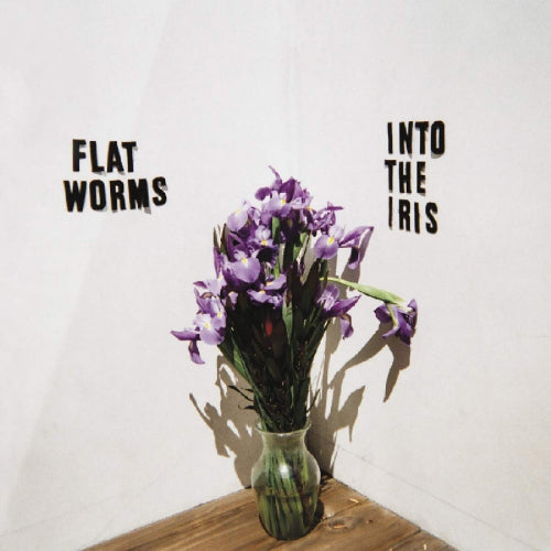 Flat Worms - Into the iris (CD) - Discords.nl