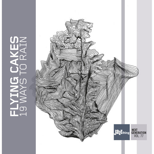Flying Cakes - 19 ways to rain (CD) - Discords.nl