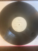 Chanel Beads - Your Day Will Come (LP)