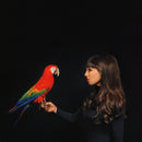 Claude Fontaine - Claude fontaine (LP) - Discords.nl