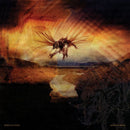 Rebecca Foon - Waxing moon (CD) - Discords.nl