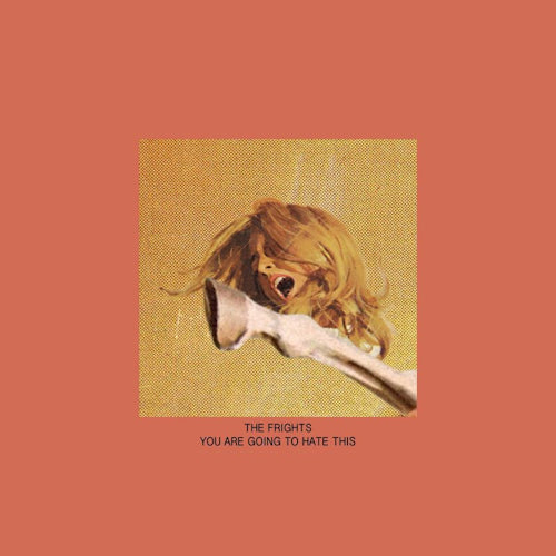 Frights - You are going to hate this (LP) - Discords.nl