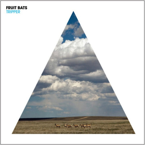 Fruit Bats - Tripper (CD) - Discords.nl