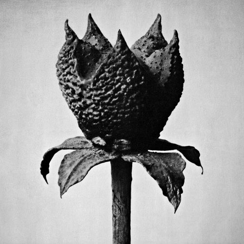 Masayoshi Fujita - Book of life (CD) - Discords.nl