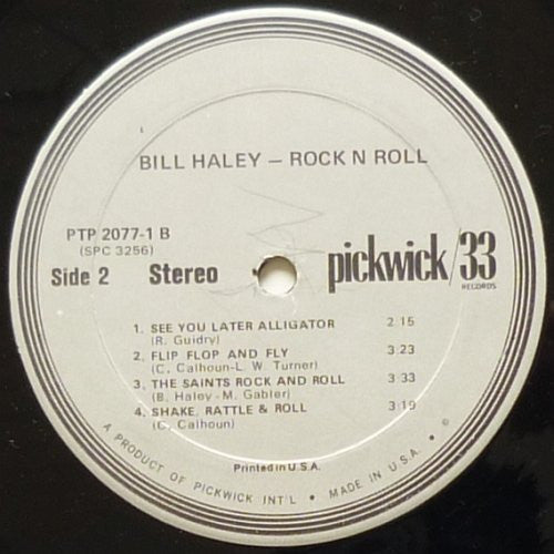 Bill Haley - Rock N Roll (LP Tweedehands)