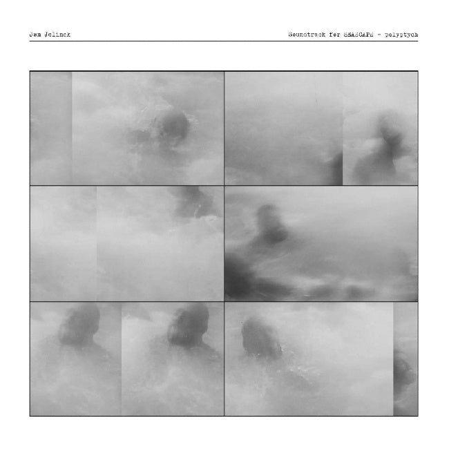 Jan Jelinek - Seascape - polyptych (LP) - Discords.nl