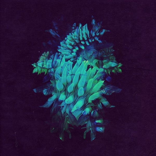 Fakear - All glows (LP) - Discords.nl