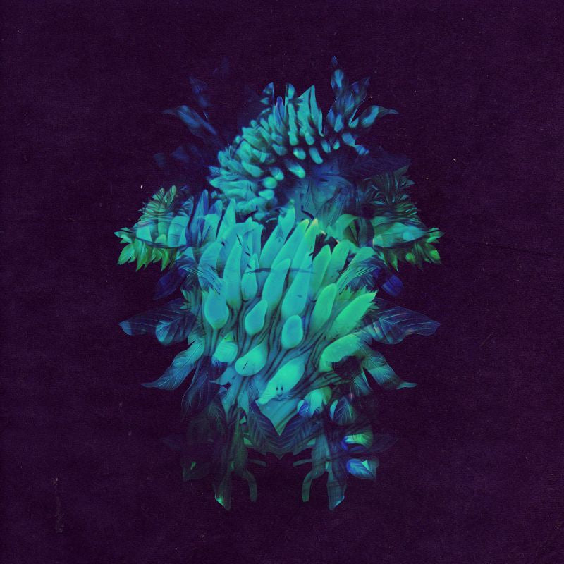 Fakear - All glows (LP) - Discords.nl