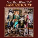 Fantastic Cat - Now that's what i call fantastic cat (LP)
