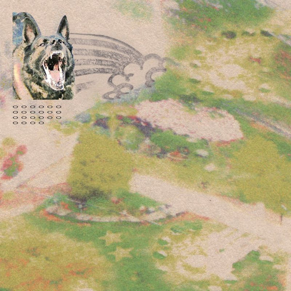 Feeble Little Horse - Girl with fish (LP) - Discords.nl