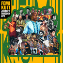Femi Kuti - Journey through life (LP)
