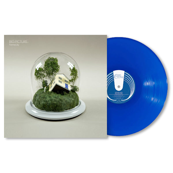 Fenne Lily - Big picture (LP) - Discords.nl